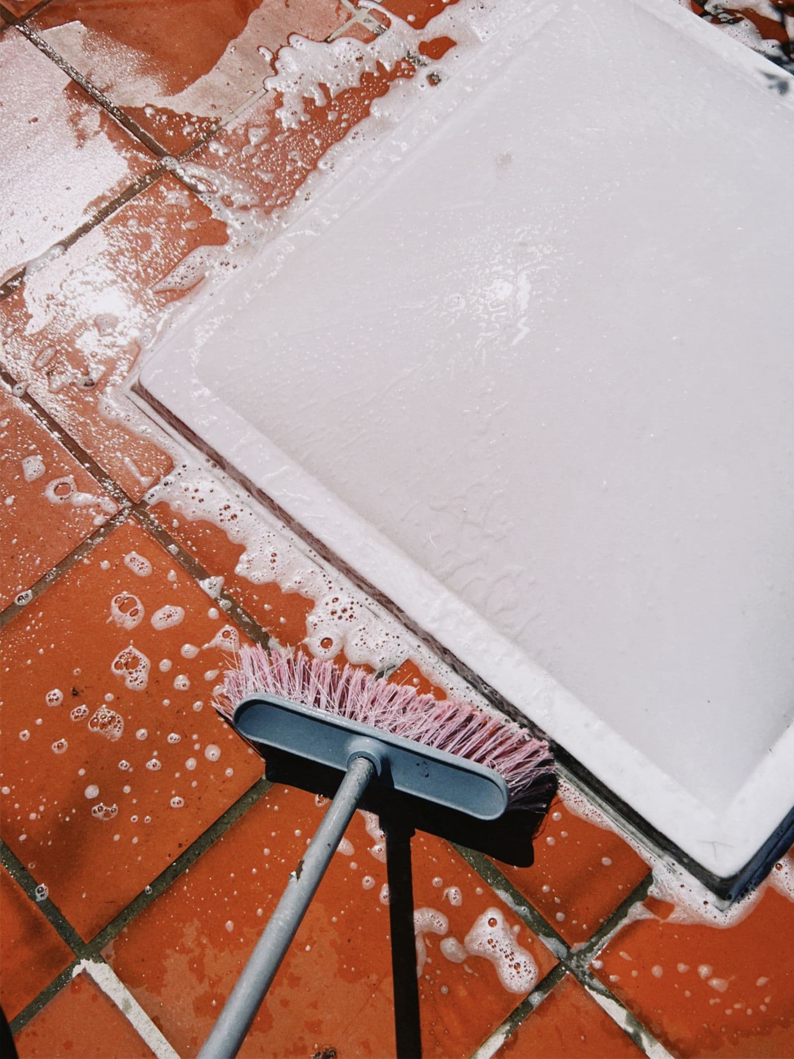 Brosse et mousse sur un carrelage de terre cuite
